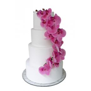 copy of Pink orchid with...
