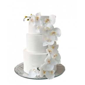 White Orchid - Wedding...