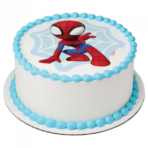 Spidey kids birthday cake