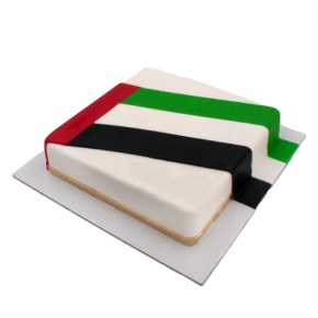 UAE Flag Birthday Cake...