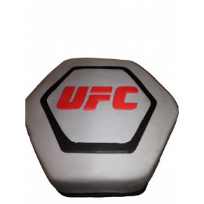 Gâteau d'anniversaire MMa UFC