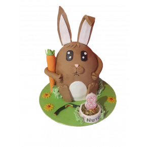 3D Bunny Birthday Cake