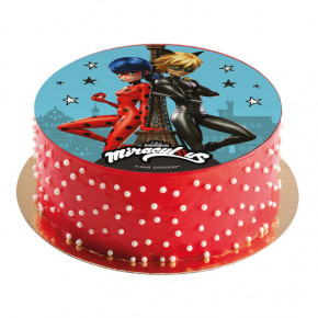 Ladybug - birthday cake