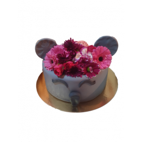 Koala - birthday cake