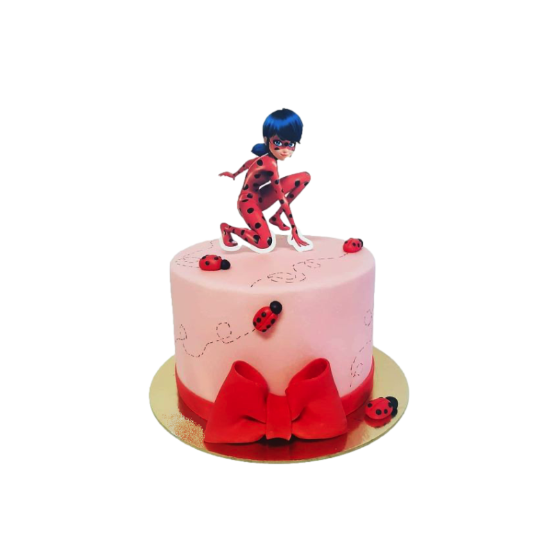 gâteau miraculous ladybug  Idée déco gâteau anniversaire, Idée gateau  anniversaire, Idée gateau
